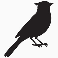 crow on a branch silhouette 