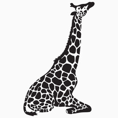 giraffe isolated on white silhouette 