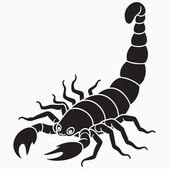 scorpion vector illustration silhouette 