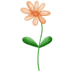 Obraz premium flower