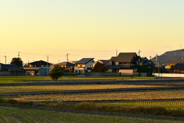 Japanese suburban residential area and fields at sunset.