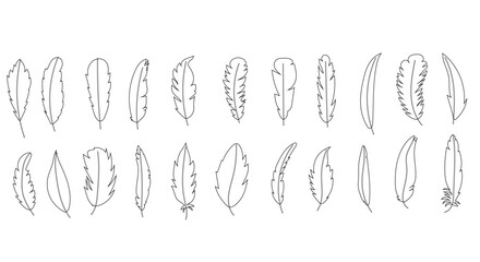 A collection of 20 different feather designs, drawn in a simple black-and-white outline style. The feathers vary in shape and style, with minimalistic and clean lines