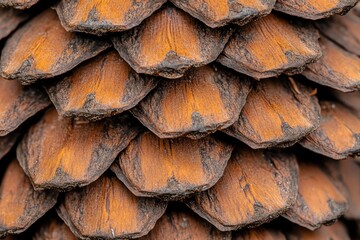 Fototapeta premium Close-up of a pine cone showcasing intricate textures and warm brown hues.