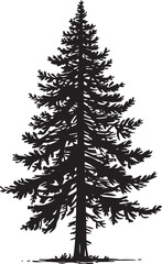 illustration of a cypress tree