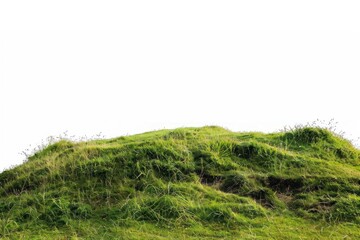 Lush green grassy hill landscape