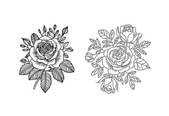 Rose flower line drawing vector