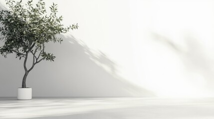 Obraz premium Modern Minimalist Workspace for Future Investment Ideas with Green Plant and Blank Wall Space for Creative Text Input