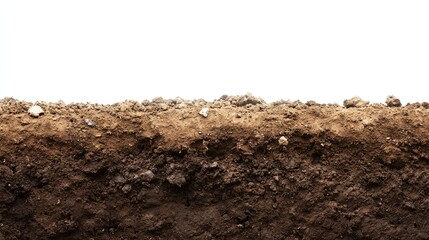 Fototapeta premium Cross Section of Dusty Soil Layer with Empty Space for Text and Graphics in a Clean White Background