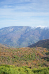 Tormantos mountain range in the Jerte valley in autumn in vertical