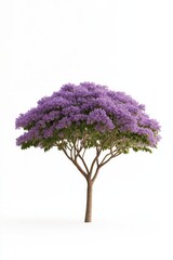 Obraz premium Lush tree adorned with vibrant purple blossoms, showcasing natur
