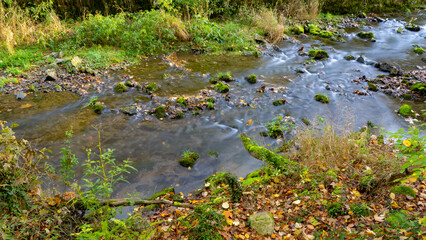 Herbstimpression aus dem Hönnetal im Sauerland