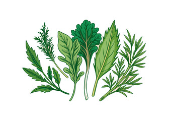 Obraz premium Realistic herbs and flowers