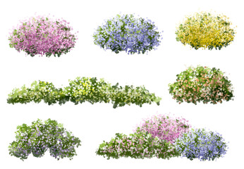 Vertor set of spring blossom tree,blooming plants side view  for landscape elevation and section,eco environment concept design,watercolor shrub illustration,colorful season