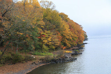 日光　紅葉　いろは坂