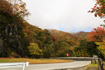 日光　紅葉　いろは坂
