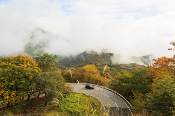 日光　紅葉　いろは坂