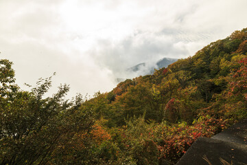 日光　紅葉　いろは坂
