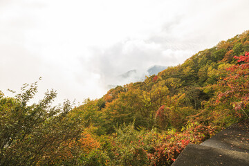 日光　紅葉　いろは坂