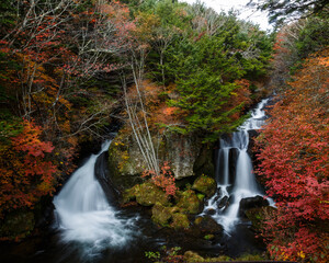 日光　紅葉　いろは坂