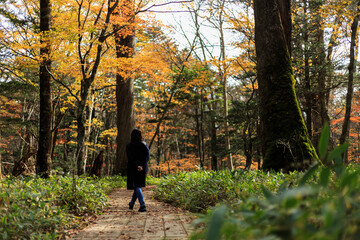 日光　紅葉　いろは坂