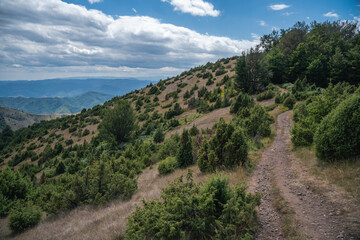 A trail through hilly and wooded terrain