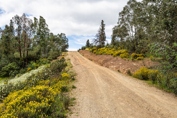 Beautiful landscape with wildflower meadows in Parque Natural do Vale do Guadiana, near Mertola, Portugal, Alentejo