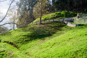 Ladera verde en parcela de granja