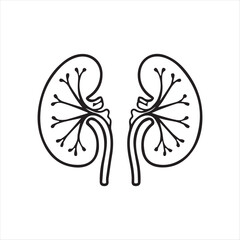 Kidney icon Silhoutee  isolated on white background 