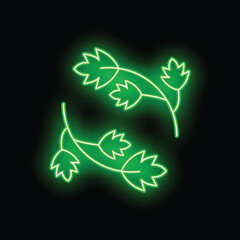 Green neon parsley leaves are glowing on a black background