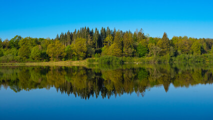 Fototapeta premium Wald spiegelt sich in einem See