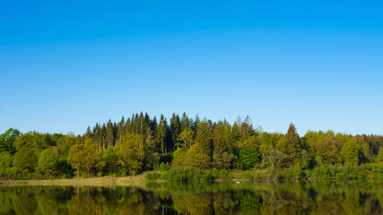 Obraz premium Waldlandschaft spiegelt sich in einem See