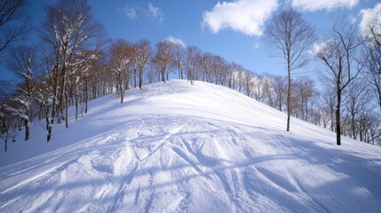 Obraz premium Snowy Hill with Tracks and Bare Trees Under Blue Sky and White Clouds