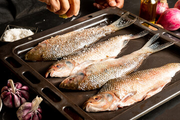 A cook placing salt on fresh fish in a metal cooking tray.