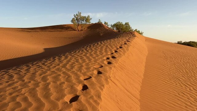 footprints on a large sand dune in the desert