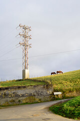 Obraz premium Caballos pastando junto a torre de electricidad en paisaje nublado
