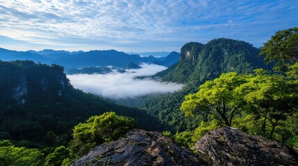 Mountaintop view of misty valley at sunrise