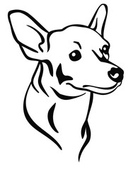 Pinscher Dog Portrait Head Line Art Isolated