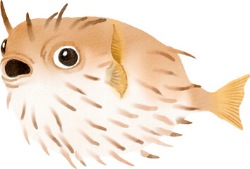 watercolor pufferfish © Je