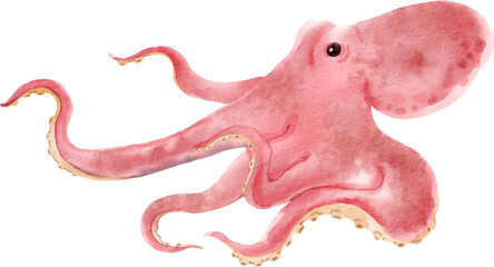 watercolor octopus © Je