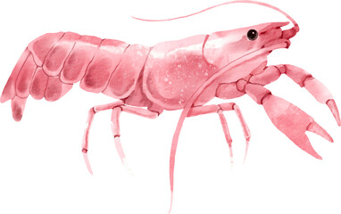 watercolor lobster
