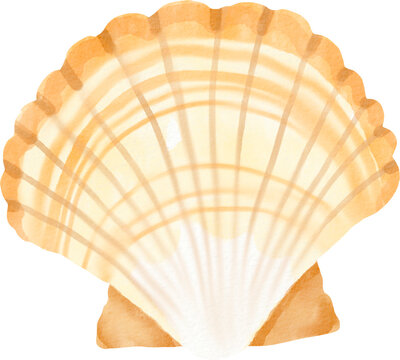 watercolor shellfish