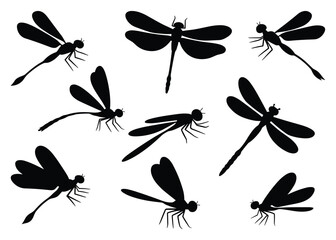 Collection of black silhouette dragonflies. isolated vector on white background.