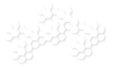 Abstract honeycomb science web white hexagon texture design. thin grid technology vector polygon mosaic tiles template background.