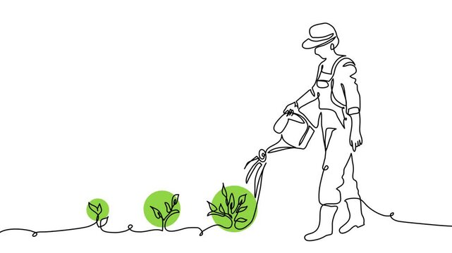 Person with watering can and growing green plants. irrigation systems concept animated illustration. One continuous self drawing line animation, footage of plants watering