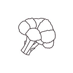 Broccoli food vector symbol sign icon