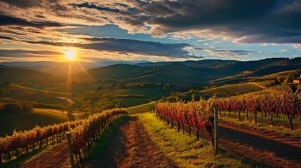 Fototapeta premium The Beauty of Chianti Vineyard: A Breathtaking Sunset in Gaiole, Tuscany, Italy