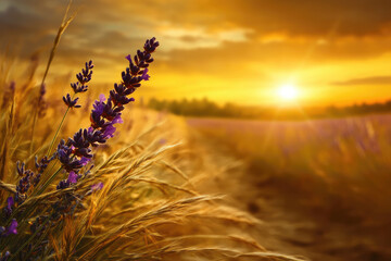 A serene sunset view with lavender flowers swaying gently in golden fields, creating a tranquil and picturesque landscape.