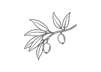 Black silhouette Olives Line Drawing. Black and white Olive Branches.