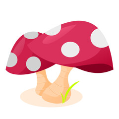 Red mushroom with grass and rock