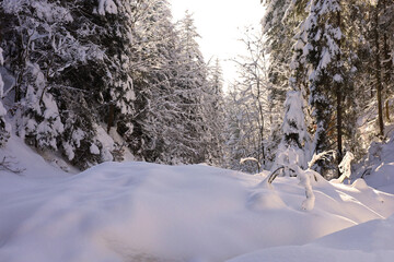 Picturesque hiking trail through forest covered in deep snow leading to Lubań mountain top in...